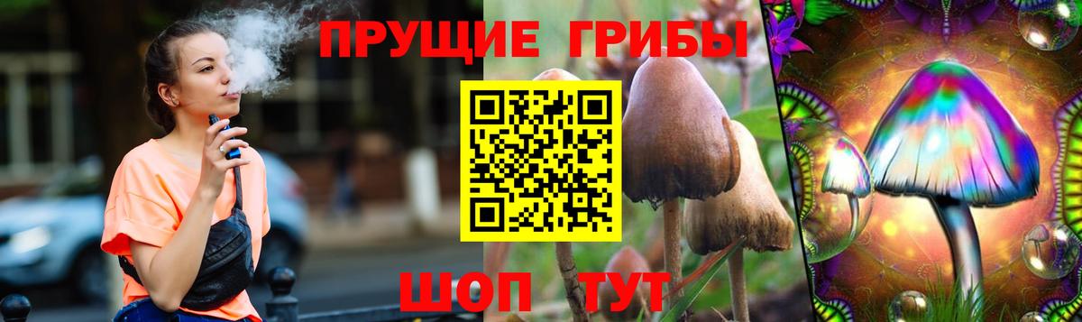 Галлюциногенные грибы Psilocybine cubensis  закладка  Канаш  Вход с VPN 
